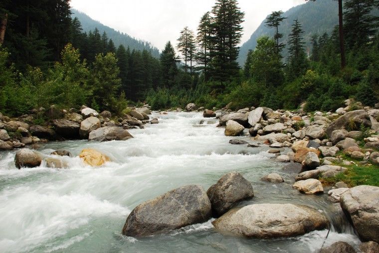 Photo of A Summer Arrest in Old Manali 1/2 by Sonali Gurung