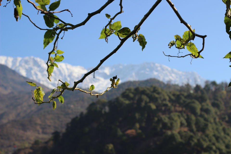 Photo of A lovely homestay at Khaneara Village - Dharamsala 1/12 by Sonali Gurung