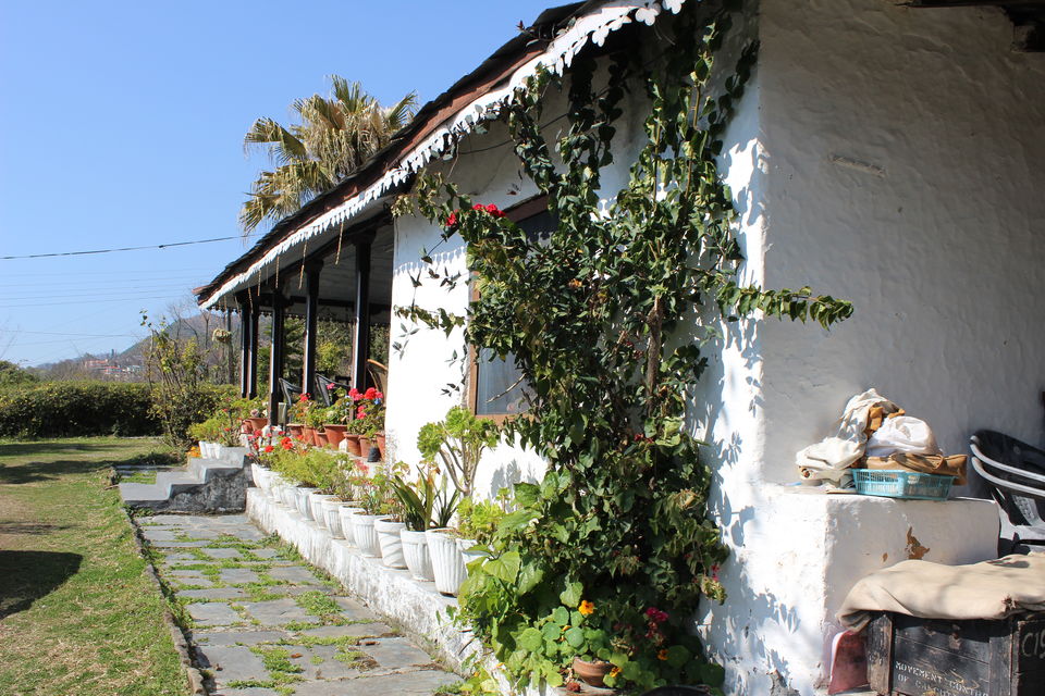 Photo of A lovely homestay at Khaneara Village - Dharamsala 8/12 by Sonali Gurung