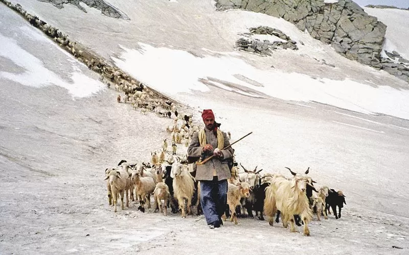 Photo of Shepherd Trail Gaddi Trek by Sonali Gurung