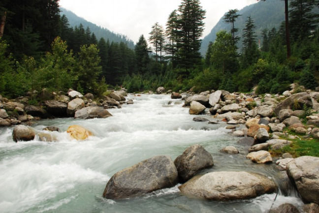 Photo of A Summer Arrest in Old Manali 1/4 by Sonali Gurung