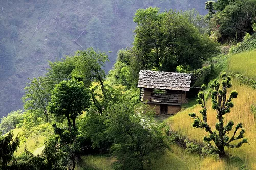 Photo of Shoja, Himachal Pradesh, India by Sonali Gurung