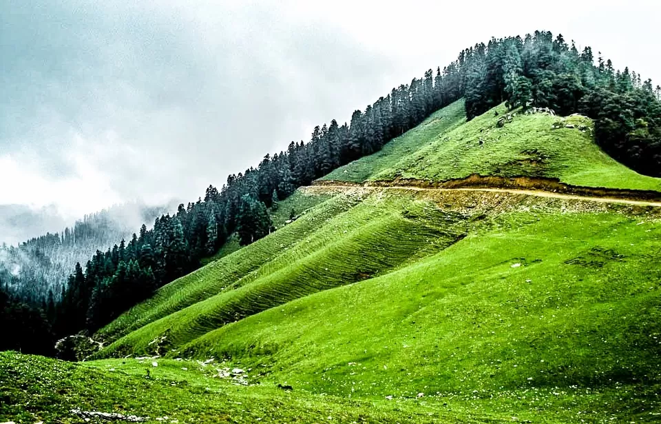 Photo of Janjehli, Himachal Pradesh, India by Sonali Gurung