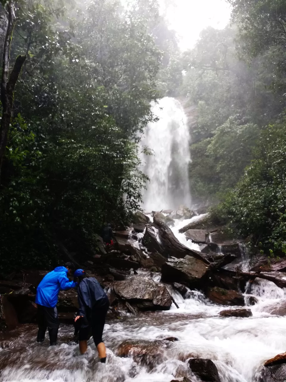 Photo of Kodachadri, Karnataka by Thiru Er