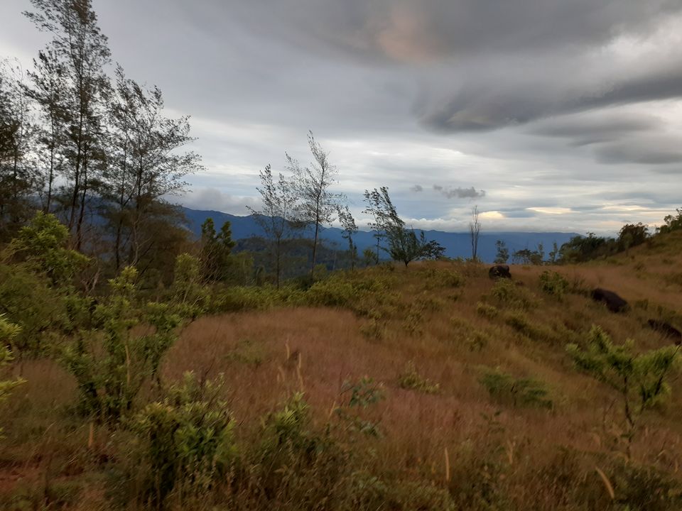 Photo of 5 mistakes to avoid with BMC's Weekend Trek to KP (Kumara Parvata) by Thiru Er