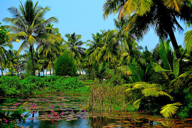 Photo of An Offbeat Guide to Goa 4/5 by Mitali Chakraborty