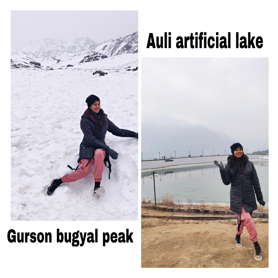 Photo of Why Auli in Uttrakhand is more than just a SKII Resort by Serene Whispers