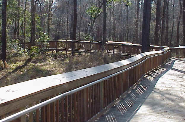 Photo of My Trip To Tickfaw State Park In Louisiana 5/7 by Will Elsenrath