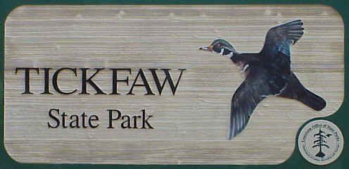 Photo of My Trip To Tickfaw State Park In Louisiana 1/7 by Will Elsenrath
