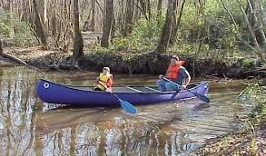 Photo of My Trip To Tickfaw State Park In Louisiana 4/7 by Will Elsenrath