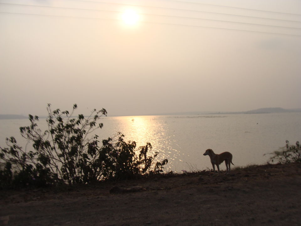 Photo of A Birder's Paradise-Kumbhargaon(Bhigwan) 3/6 by Vishakha Dinkar