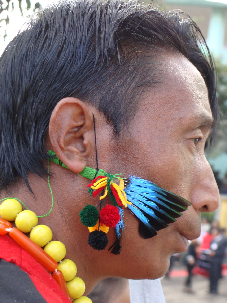 Photo of Of feathers, neck pieces and dancing hills 3/3 by Vishakha Dinkar