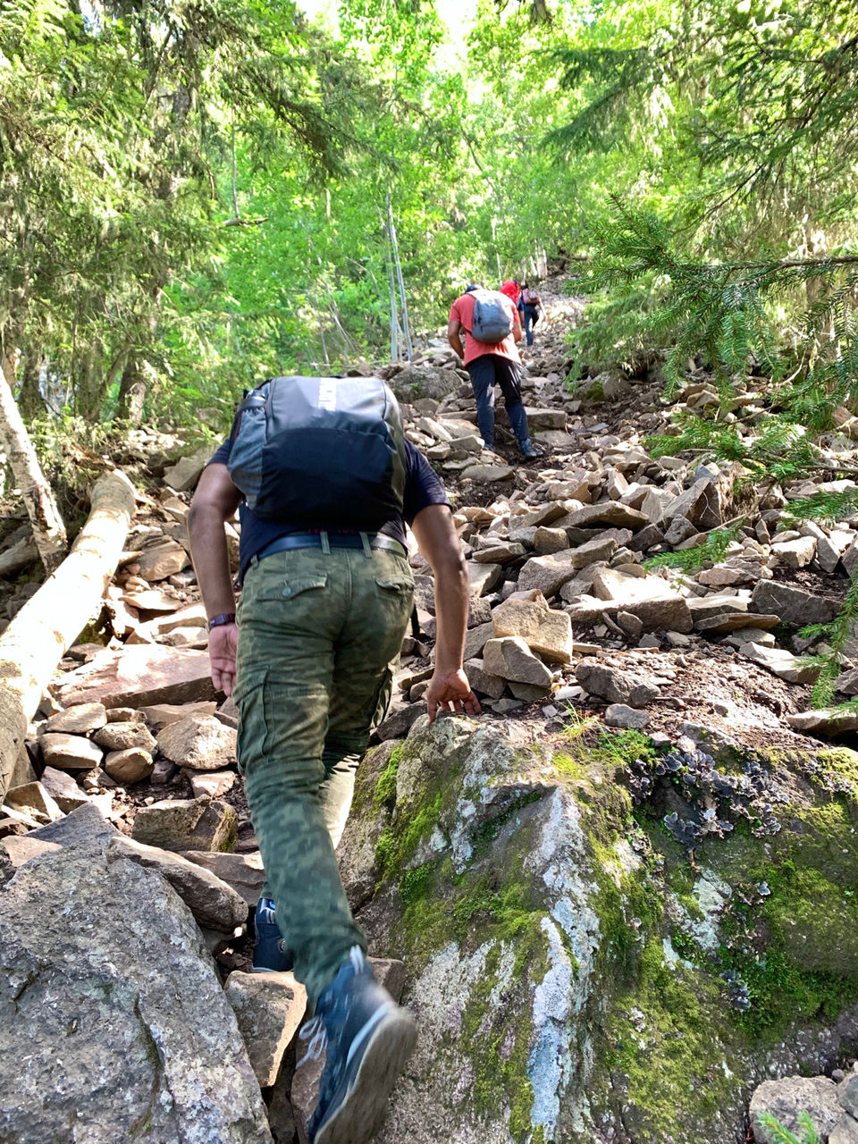 Photo of Hike To Mørkgonga -A Crack In Lava Plate by Shubham Singh