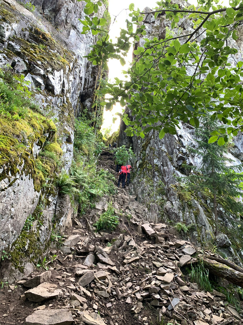 Photo of Hike To Mørkgonga -A Crack In Lava Plate by Shubham Singh