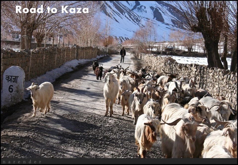 Photo of Solo Scooter Ride to Winter Spiti-March 2011 1/44 by Narender Kumar Gautam