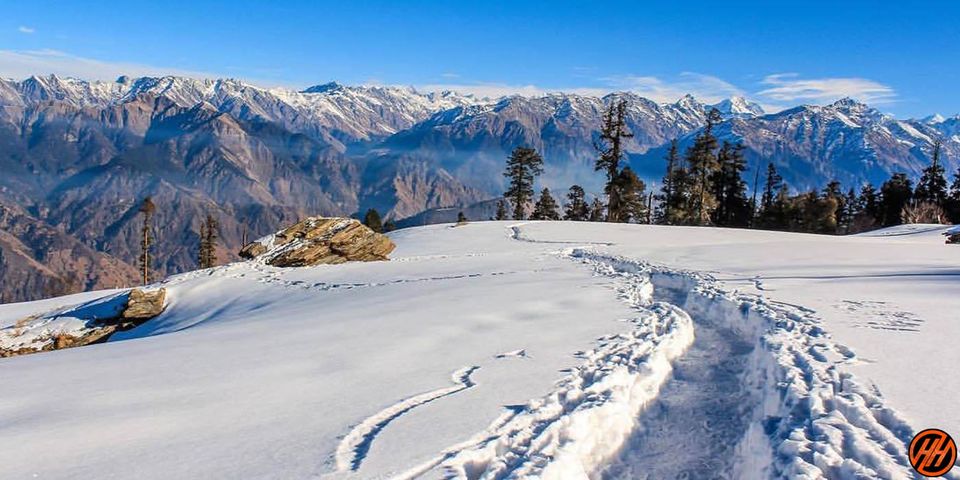 Photo of Kedarknatha Trek by Himalayan Hikers
