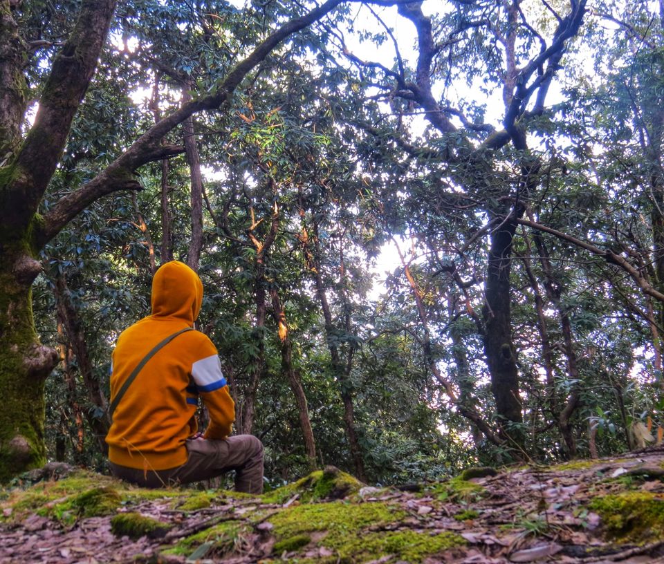 Photo of Day Trip Taradevi Temple & Baba ji's Hut in Shimla by Hathayogi Manoj