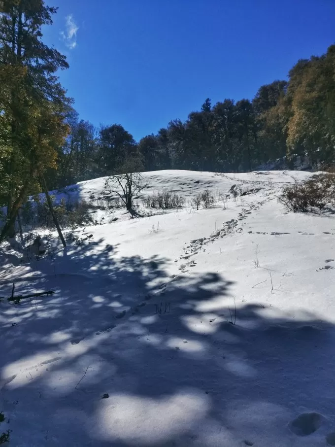 Photo of Chitrakantha Peak, Raigari, Uttarakhand, India by Chanchal Jetha