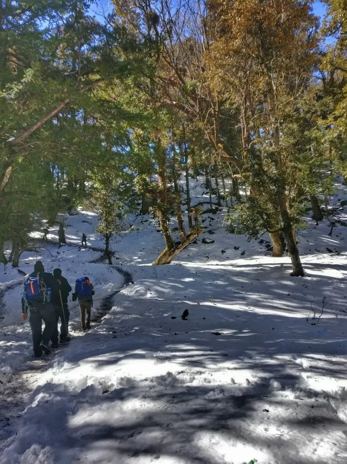 Photo of Tryst with Nature - Winter Kuari Pass Trek #TravelAdventure2019 by Chanchal Jetha
