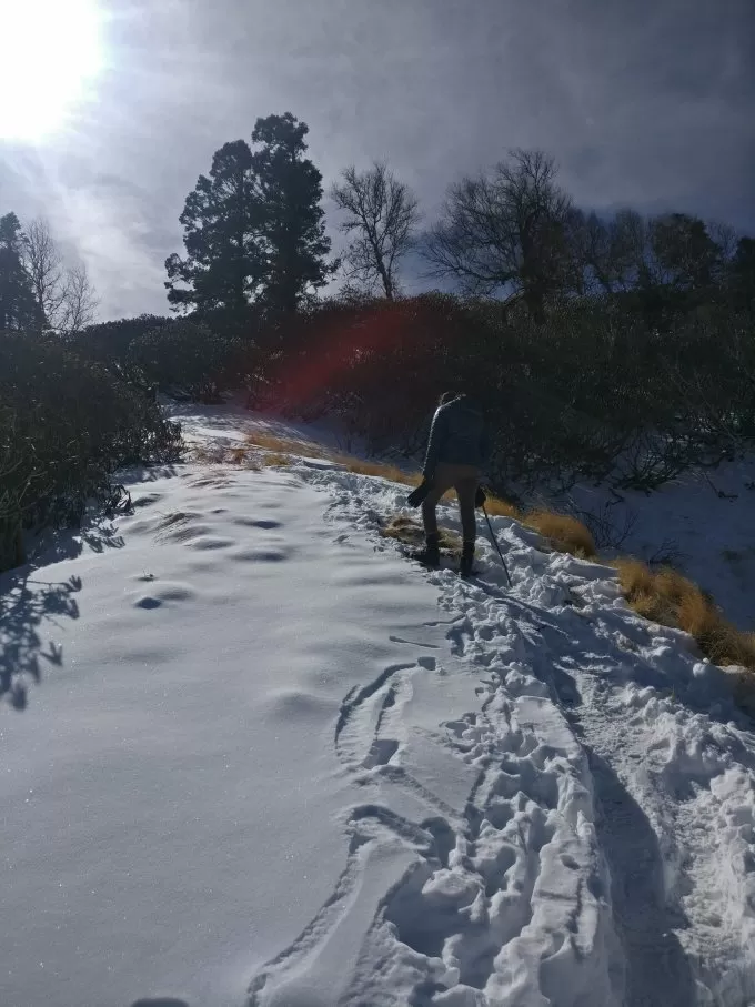 Photo of Tryst with Nature - Winter Kuari Pass Trek #TravelAdventure2019 by Chanchal Jetha