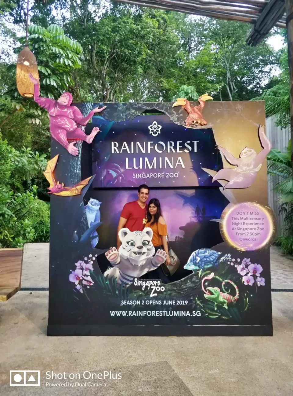 Photo of Night Safari by Shivani Chaturvedi