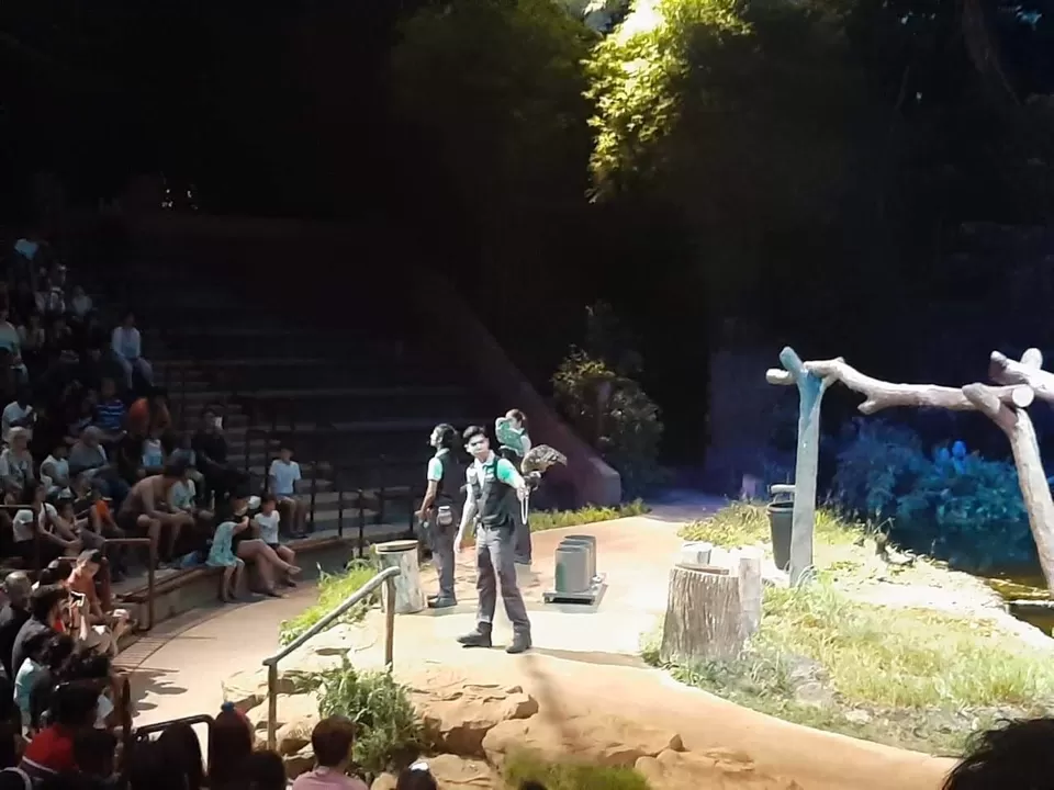 Photo of Night Safari by Shivani Chaturvedi