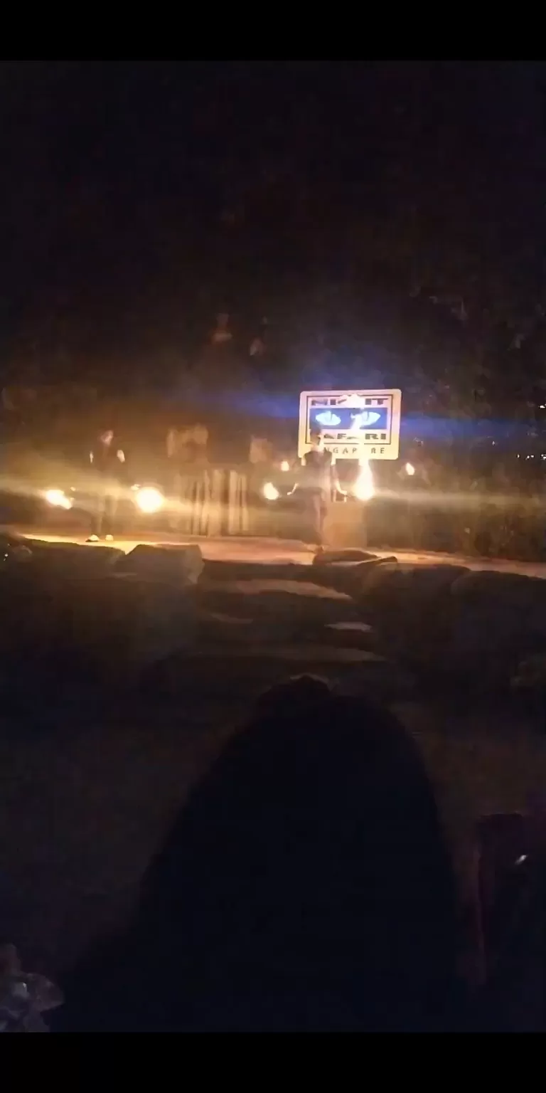 Photo of Night Safari by Shivani Chaturvedi