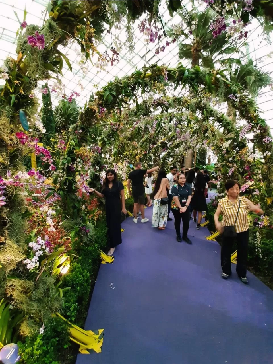 Photo of Gardens by the Bay by Shivani Chaturvedi