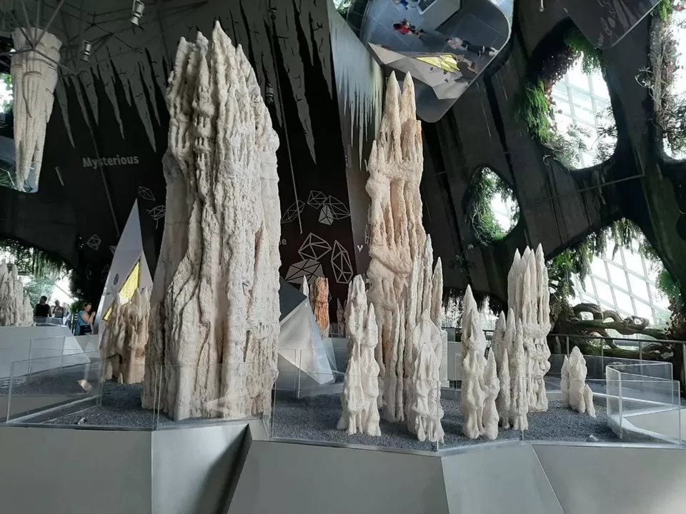 Photo of Gardens by the Bay by Shivani Chaturvedi