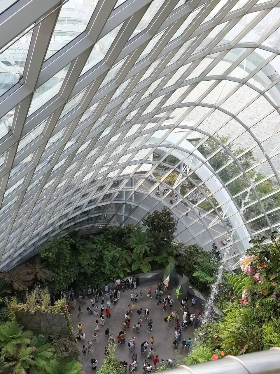 Photo of Gardens by the Bay by Shivani Chaturvedi