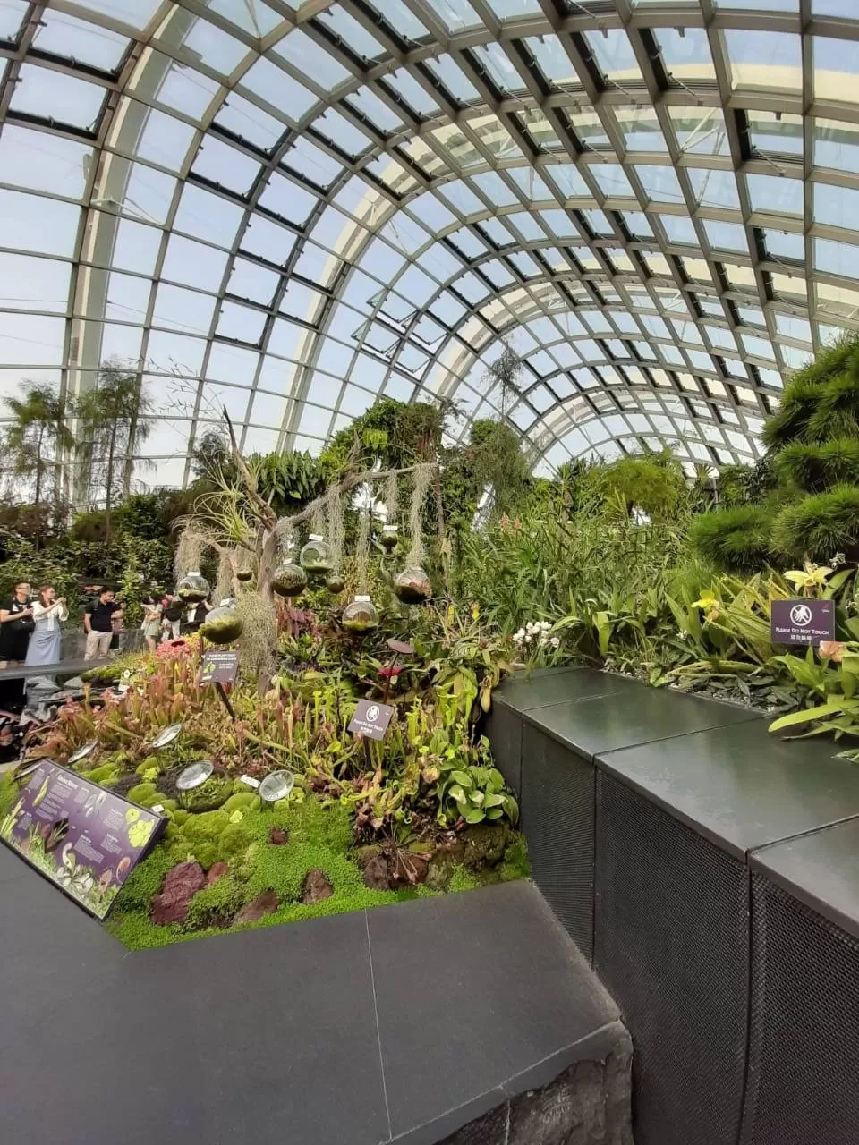 Photo of Gardens by the Bay by Shivani Chaturvedi