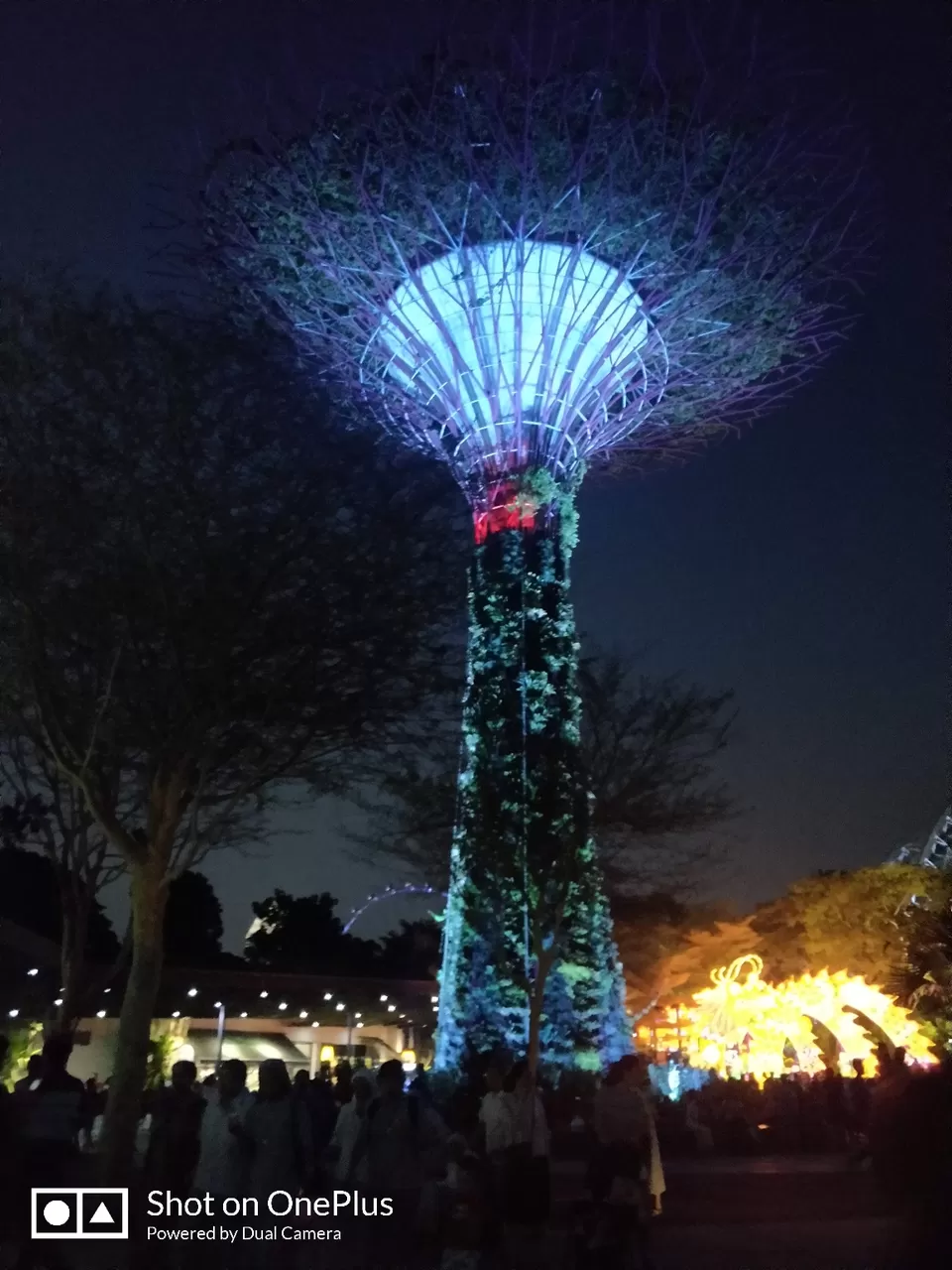 Photo of Gardens by the Bay by Shivani Chaturvedi