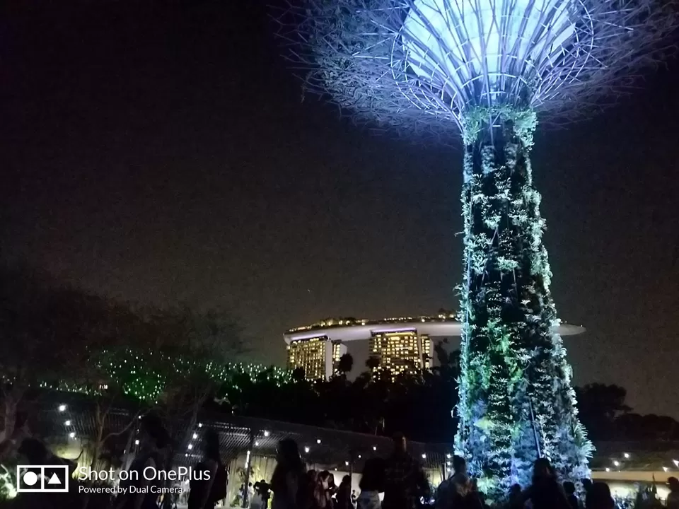 Photo of Gardens by the Bay by Shivani Chaturvedi