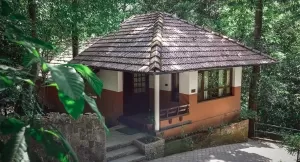 Photo of Reconnect with nature in its purest form - Enchanting aspects of staying in 🏡 TREEHOUSE RESORTS 🌲 by Shivani Chaturvedi