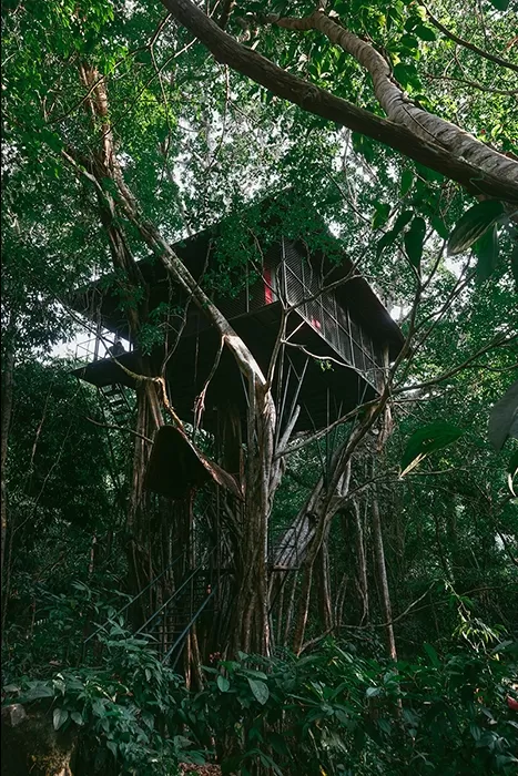 Photo of Reconnect with nature in its purest form - Enchanting aspects of staying in 🏡 TREEHOUSE RESORTS 🌲 by Shivani Chaturvedi