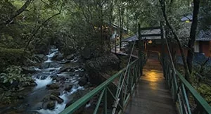 Photo of Reconnect with nature in its purest form - Enchanting aspects of staying in 🏡 TREEHOUSE RESORTS 🌲 by Shivani Chaturvedi