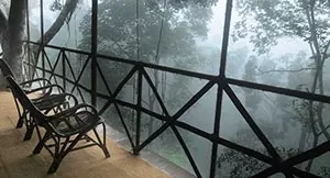 Photo of Reconnect with nature in its purest form - Enchanting aspects of staying in 🏡 TREEHOUSE RESORTS 🌲 by Shivani Chaturvedi