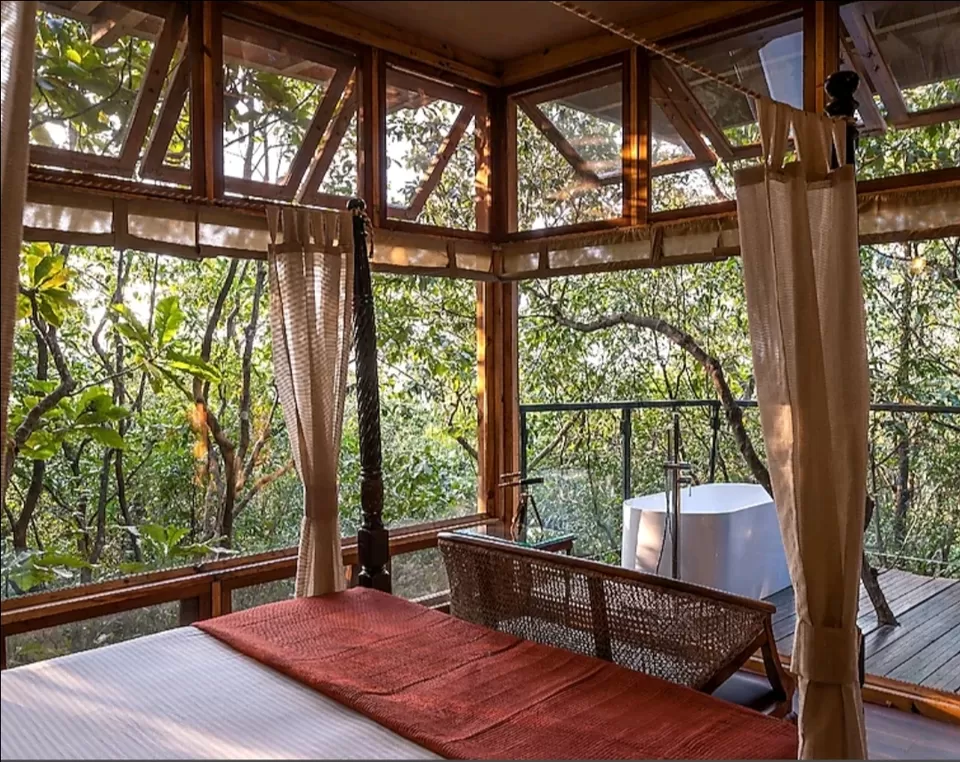 Photo of Reconnect with nature in its purest form - Enchanting aspects of staying in 🏡 TREEHOUSE RESORTS 🌲 by Shivani Chaturvedi
