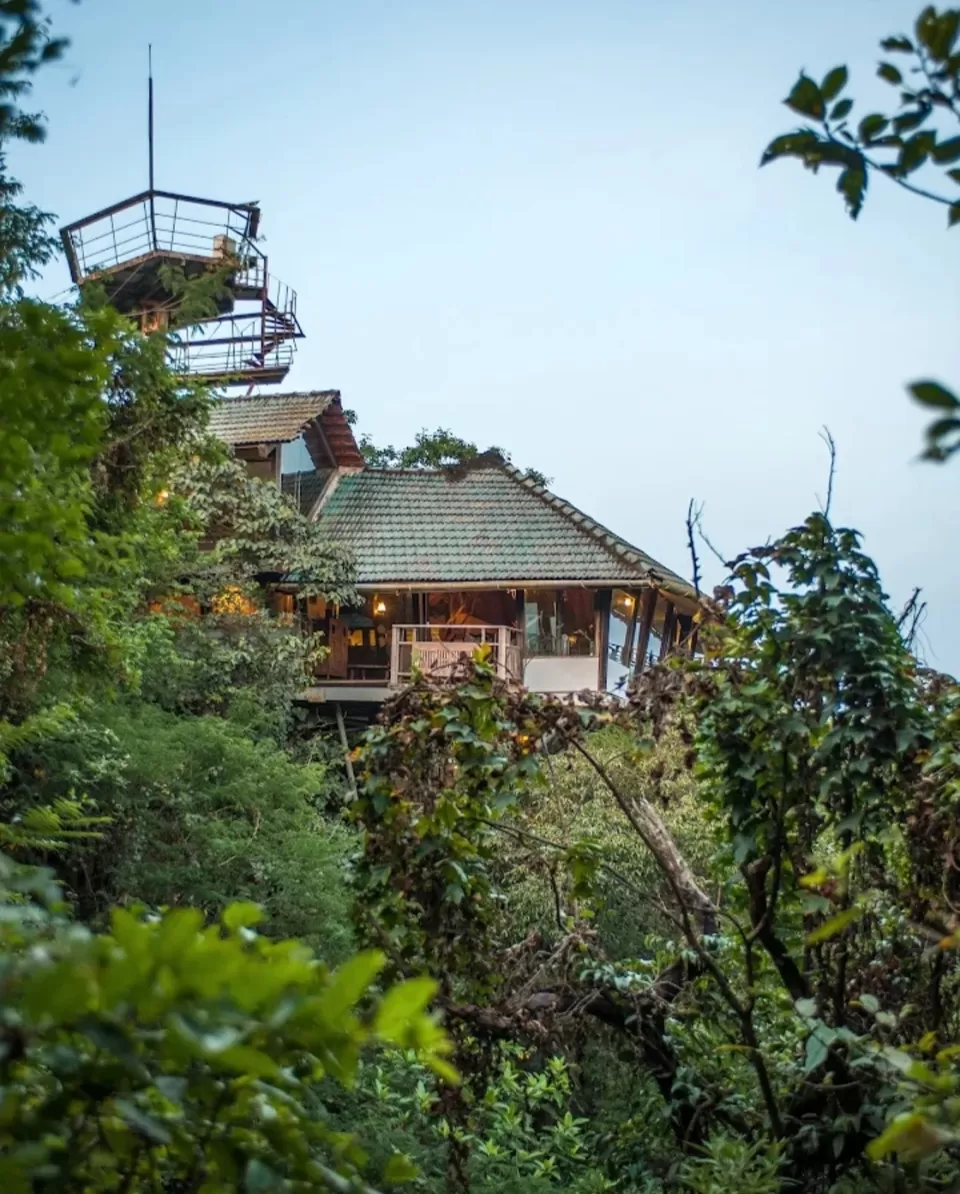 Photo of Reconnect with nature in its purest form - Enchanting aspects of staying in 🏡 TREEHOUSE RESORTS 🌲 by Shivani Chaturvedi