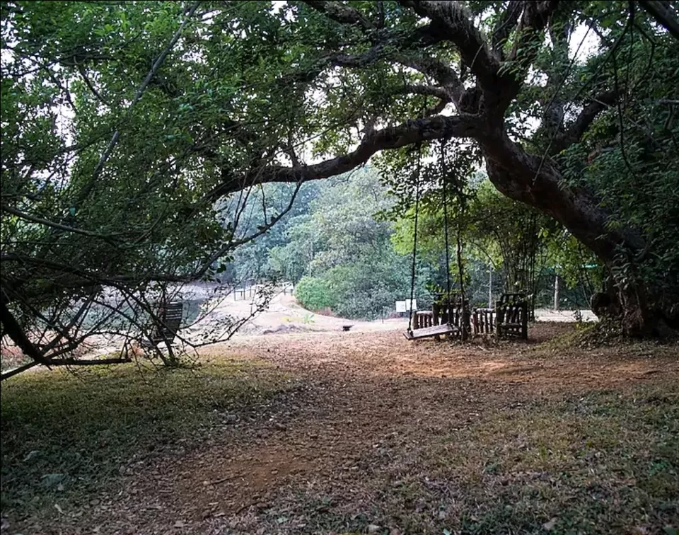 Photo of Reconnect with nature in its purest form - Enchanting aspects of staying in 🏡 TREEHOUSE RESORTS 🌲 by Shivani Chaturvedi