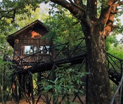 Photo of Reconnect with nature in its purest form - Enchanting aspects of staying in 🏡 TREEHOUSE RESORTS 🌲 by Shivani Chaturvedi