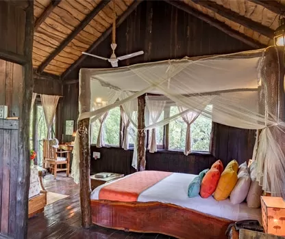 Photo of Reconnect with nature in its purest form - Enchanting aspects of staying in 🏡 TREEHOUSE RESORTS 🌲 by Shivani Chaturvedi