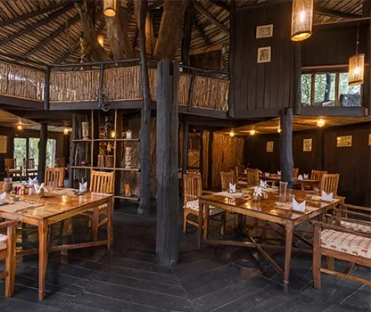 Photo of Reconnect with nature in its purest form - Enchanting aspects of staying in 🏡 TREEHOUSE RESORTS 🌲 by Shivani Chaturvedi