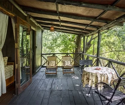 Photo of Reconnect with nature in its purest form - Enchanting aspects of staying in 🏡 TREEHOUSE RESORTS 🌲 by Shivani Chaturvedi