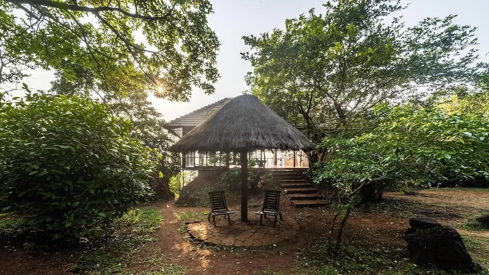 Photo of Reconnect with nature in its purest form - Enchanting aspects of staying in 🏡 TREEHOUSE RESORTS 🌲 by Shivani Chaturvedi