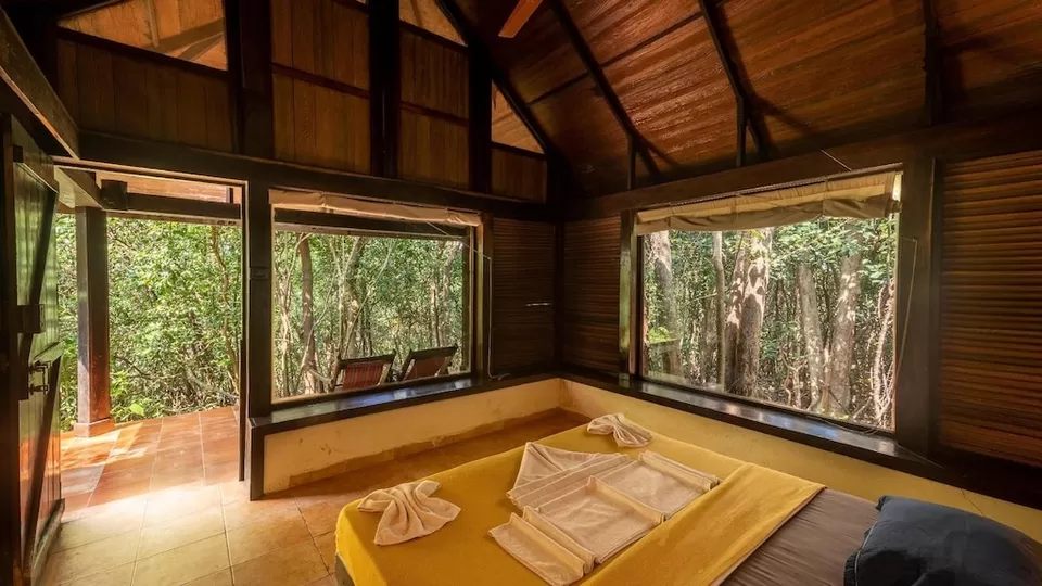 Photo of Reconnect with nature in its purest form - Enchanting aspects of staying in 🏡 TREEHOUSE RESORTS 🌲 by Shivani Chaturvedi