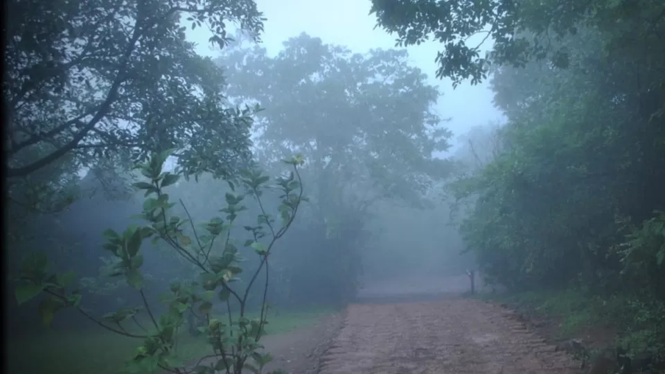 Photo of Reconnect with nature in its purest form - Enchanting aspects of staying in 🏡 TREEHOUSE RESORTS 🌲 by Shivani Chaturvedi