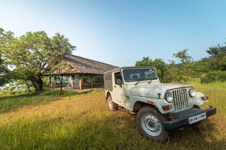 Photo of Reconnect with nature in its purest form - Enchanting aspects of staying in 🏡 TREEHOUSE RESORTS 🌲 by Shivani Chaturvedi