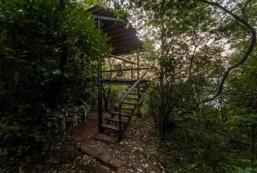 Photo of Reconnect with nature in its purest form - Enchanting aspects of staying in 🏡 TREEHOUSE RESORTS 🌲 by Shivani Chaturvedi