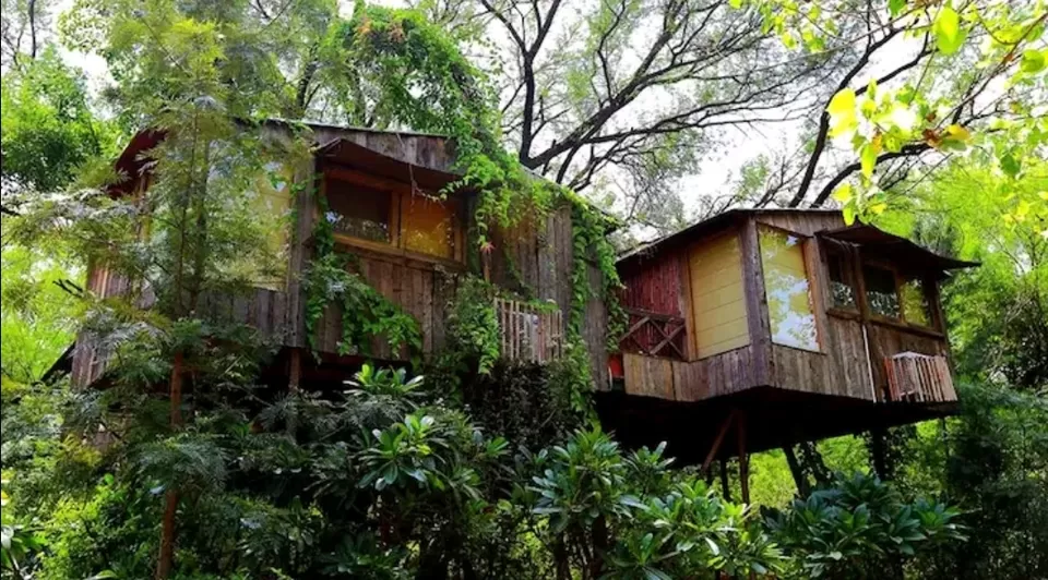 Photo of Reconnect with nature in its purest form - Enchanting aspects of staying in 🏡 TREEHOUSE RESORTS 🌲 by Shivani Chaturvedi